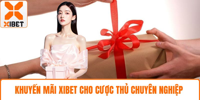 Khuyến mãi XIBET